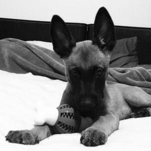 Meet your Posher, Luckie